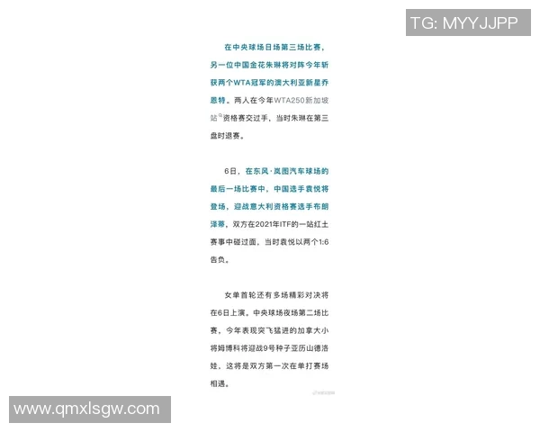 武汉网球队在挑战赛中的力量展现与技术分析全面点评